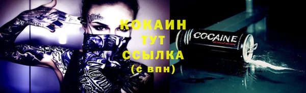 мдпв Мегион