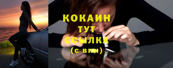 мдпв Мегион